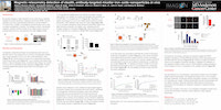 2017 AACR Stealth Nanoparticles Poster Thumbnail
