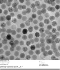PrecisionMRX Nanoparticles