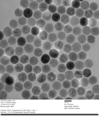PrecisionMRX Nanoparticles